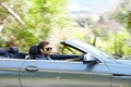 He loves his convertible. A young male driving a silver convertable.