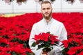 Young male gardener in a greenhouse. A man in a white coat and gloves holds a pot of red poinsettia. Gardening concept