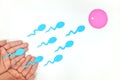 Young male hands releasing sperm cells into an egg cell paper cutout. Top view, flat lay in white background.