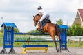 Young male horse rider on show jumping competition Royalty Free Stock Photo