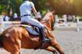 Young male horse rider on show jumping competition Royalty Free Stock Photo