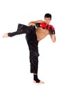 Young male kickboxer Royalty Free Stock Photo