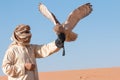 Young male pharaoh eagle owl during a desert falconry show in Dubai, UAE. Royalty Free Stock Photo