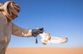 Young male pharaoh eagle owl during a desert falconry show in Dubai, UAE. Royalty Free Stock Photo