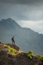 Young male photographer looking at scenery in Queenstown Royalty Free Stock Photo