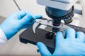 Male scientist looking at slides under the microscope Royalty Free Stock Photo