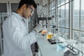 Young male scientists conducting research in modern biological laboratory Royalty Free Stock Photo