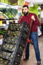 Young male seller moving fresh vegetables