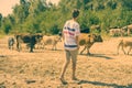 Young male shepherd walking near the cow herd on the summer sandy field a