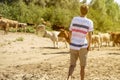 Young male shepherd walking near the cow herd on the summer sandy field a Royalty Free Stock Photo