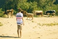 Young male shepherd walking near the cow herd on the summer sandy field a Royalty Free Stock Photo