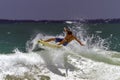 Young Male Surfer Pacific Coast Hawaii