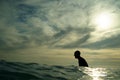 A young male surfer in silhouette sits waiting for a wave at Piha Beach, New Zealand Royalty Free Stock Photo