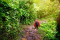 Young male tourist hiking on the famous Kalalau trail along Na Pali coast of the island of Kauai Royalty Free Stock Photo