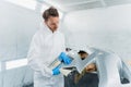 Young male worker of a car body repair shop in a automobile painting booth compares the color of a auto bumper with samples. Royalty Free Stock Photo