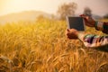 Young man agriculture engineer squatting in gold