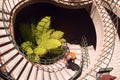 A young man ascends the modern spiral staircase