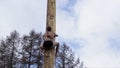 A young man athletic build climbing on a wooden post for the prize, the traditional spring carnival in Russia. Action