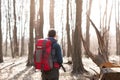 Young man with backpack hiking in the forest