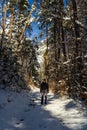 Young man with backpack standing on snow forest winter path. Czech landscape Royalty Free Stock Photo