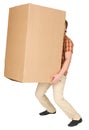 Young man bears the big box on a back Royalty Free Stock Photo
