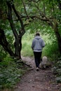 A young man from behind walking his dog Royalty Free Stock Photo