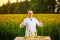A young man biologist or agronomist examines the quality of rapeseed oil on a rape field. Agribusiness concept Royalty Free Stock Photo