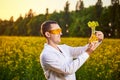 A young man biologist or agronomist examines the quality of rapeseed oil on a rape field. Agribusiness concept Royalty Free Stock Photo