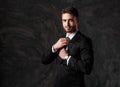 Young man in a black suit on a gray background. Bearded businessman smiling Royalty Free Stock Photo