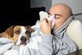 Young man blows his nose in a paper handkerchief lying in bed with his dog. Royalty Free Stock Photo