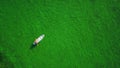 Young man canoeing on the turquoise sea water Royalty Free Stock Photo