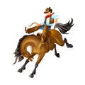 Young man, character of cowboy wild west, rider on horse. Royalty Free Stock Photo