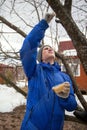 A young man is closing up with tree-pruning paste in spring garden Royalty Free Stock Photo