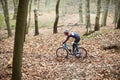 Young man cross-country cycling through a forest Royalty Free Stock Photo