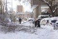 Young man cuts the fallen branches of a tree broken by snow, Madrid