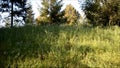 Young man in danger running away up and then down a hill