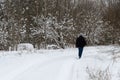 A young man walks along a track in a snowy forest  view from the back. Snow blizzard. Gloomy cloudy winter day Royalty Free Stock Photo