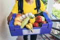 Man delivering online grocery order Royalty Free Stock Photo