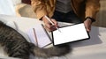 Young man designer working online with digital tablet and cute cat lying next to him. Royalty Free Stock Photo