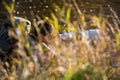 Young man devoting time to his favorite hobby - photography