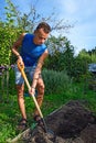 A young man digs a hole to plant in the flower bed on the plot
