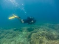 Young man  scuba diving Royalty Free Stock Photo