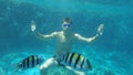 Young man diving in the sea with fish and reef Royalty Free Stock Photo