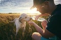 Thirsty dog at sunset Royalty Free Stock Photo