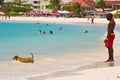 Young man and a dog swimming in the sea, Caribbean