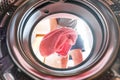 Young man doing laundry view from the inside of washing machine Royalty Free Stock Photo