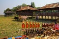 Young man drives his ox car