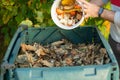 A young man is emptying a bucket with organic waste in a outdoor compost bin.The compost bin is placed in a home garden to recycle