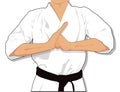 Karate martial arts vector clipart cartoon Royalty Free Stock Photo