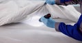 Young Man Expertly Checking Bed For Bed Bugs Royalty Free Stock Photo